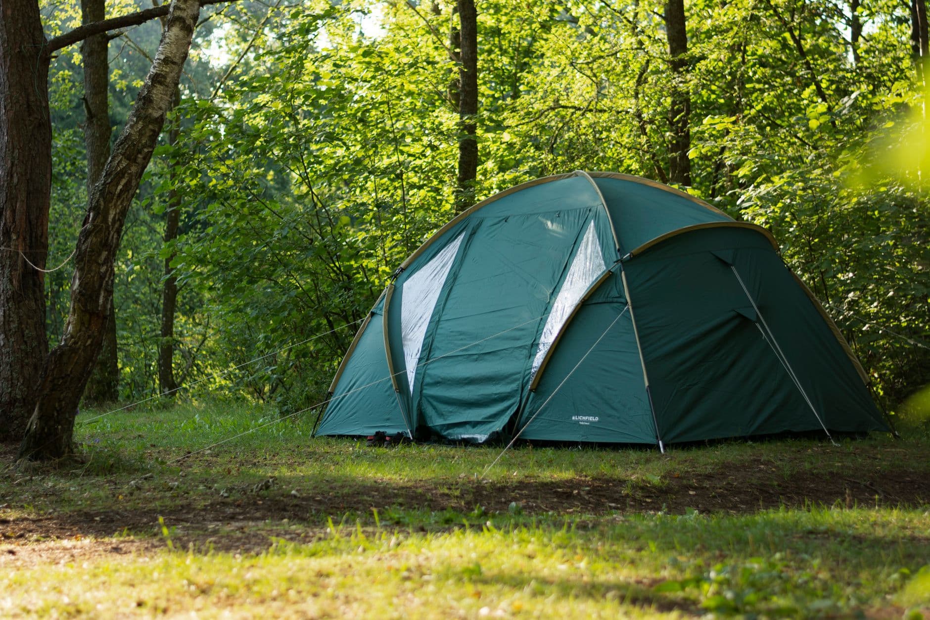 A green tent peacefully set up in a lush, sunny woodland campsite, perfect for a nature getaway.