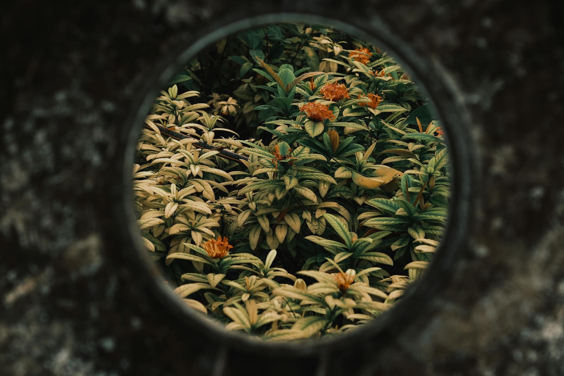 Où dormir en van au Pays Basque ? Les 10 meilleurs spots