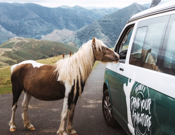 Road Trip en Van : Explorez le Pays Basque en Toute Liberté
